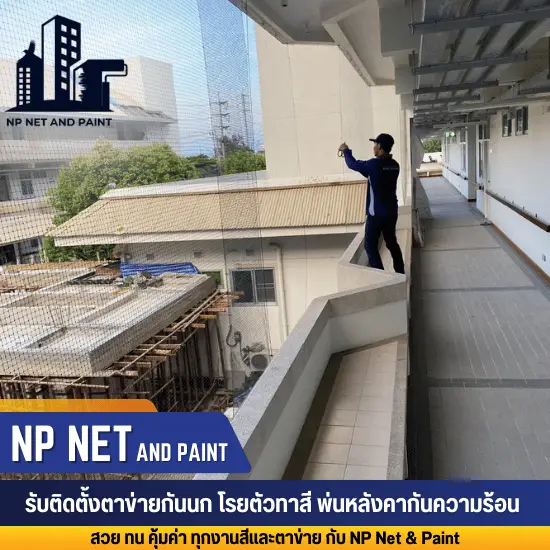 Accepting installation of bird netting in the shed