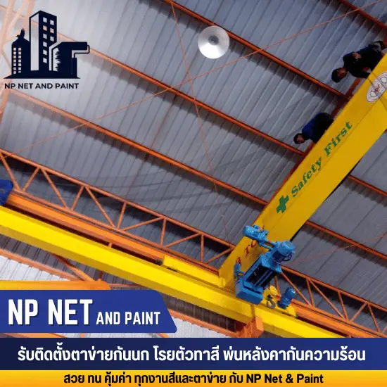 Install bird netting